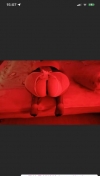 风骚耐操少妇