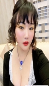杭州发情小母猫