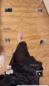 91风流-966455/2_966455.jpeg