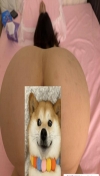 91风流-967255/2_967255.jpg