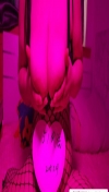 91风流-980796/2_980796.jpg