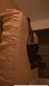 91风流-983061/4_983061.jpeg